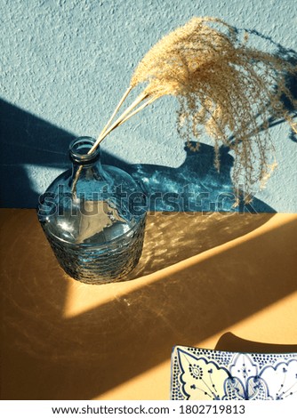 Pampas grass bunch in blue glass bottle on beige and blue background. Modern interior with cortaderia selloana and vase for trend colors. Minimal home concept with dry reeds	