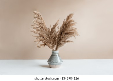 Pampas grass in vase against pecan wall.