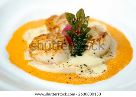Pan fried seared scallops with a red pepper cream sauce and hollandaise sauce on a white plate. 