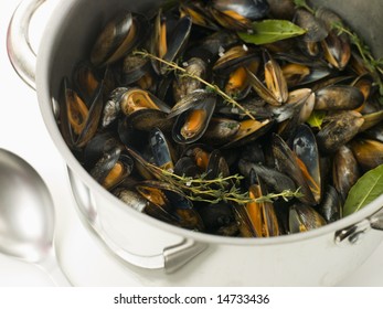 Pan Of Moules Mariniere