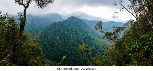 PANACAM National Park in Honduras.