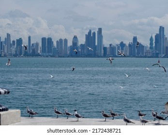 Panama Bay In Panama City