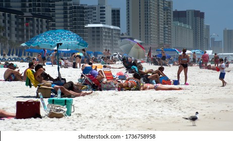 4,112 Panama city beach Images, Stock Photos & Vectors | Shutterstock