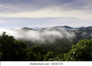  Panama Jungle Vista.