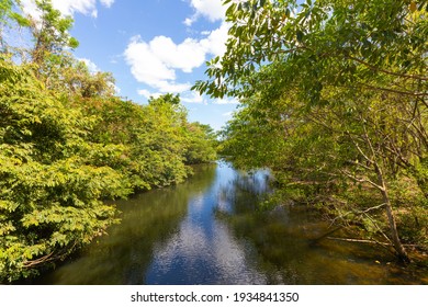 Panama Las Zambranos, Papayal Creek, Panoramic View In Tropical Jungle