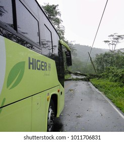 PANAMA - OCTOBER 2 2014: Traffic in the Cordilleras because of the fallen tree