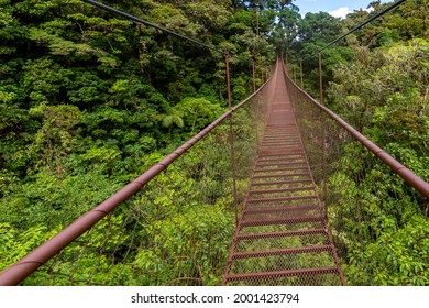 Panama Rainforest. Old Hanging Bridge In The Jungle Of Panama, Central America. 