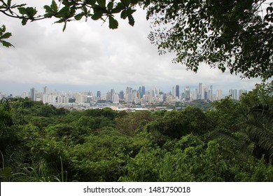 Panama as seen from Metropolitan Natural Park. - Shutterstock ID 1481750018