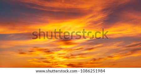 Panarama twilight sky full with cirrus clouds shapr lookling a fire at golden hour time ,Nature background