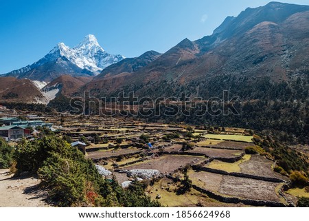 Panboche or Pangboche settlement is a small village on 3985m altitude with Ama Dablam 6812m picturesque mountain summit on the background. Small agriculture fields on the foreground. October in Nepal.
