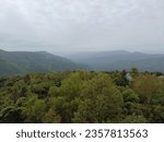 Panchgani, Maharashtra, India - September 4, 2023: A view of the lush green surroundings during monsoons