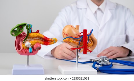 pancreas mockup on work desk of doctor - Shutterstock ID 2255321081