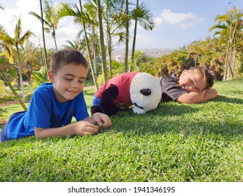 Panda Bear Children's Favourite Toy