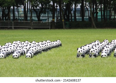 A Panda Exhibition In Victoria Park, Hong Kong