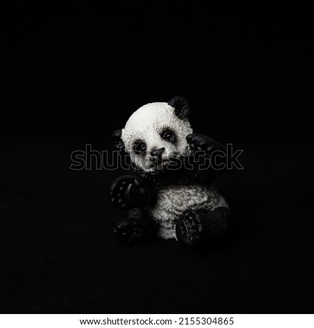 Panda Isolated on Black Background
