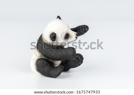 Panda Isolated on White Background