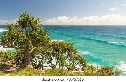 Pandanus Palms And Rocky Headlands Along The Queensland Coastline