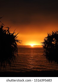 Pandanus Sunrise Over The Coral Coast, Queensland Australia
