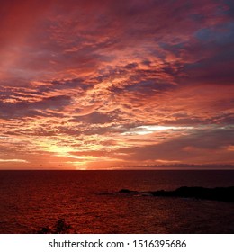 Pandanus Sunrise Over The Coral Coast, Queensland Australia
