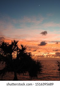 Pandanus Sunrise Over The Coral Coast, Queensland Australia
