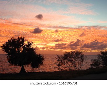 Pandanus Sunrise Over The Coral Coast, Queensland Australia
