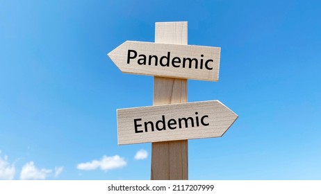 Pandemic And Endemic Character Entry Signpost And Blue Sky