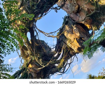 Pandora's Decor At Animal Kingdom