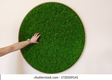  Panel Of Green Moss On The Wall