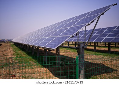 Panels In A Solar Farm In China