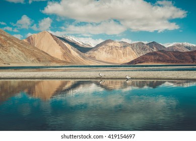 Pangong Lake In Ladakh, India