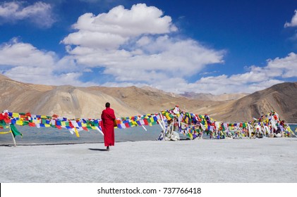 Pangong Lake  Leh Ladakh India