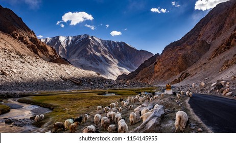 Pangong Lake Road