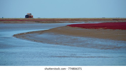 Panjin Red Beach - China