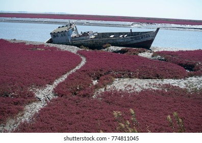 Panjin Red Beach - China