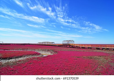 Panjin Red Beach, Liaoning, China