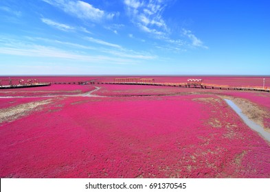 Panjin Red Beach, Liaoning, China