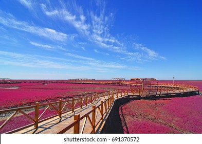 Panjin Red Beach, Liaoning, China