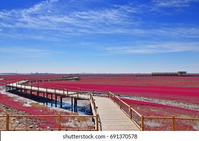 Panjin Red Beach, Liaoning, China