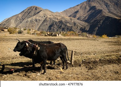 Panjshir Valley, Afghanistan