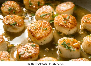 Panned Seared Scallops in Broth Ready to Eat
