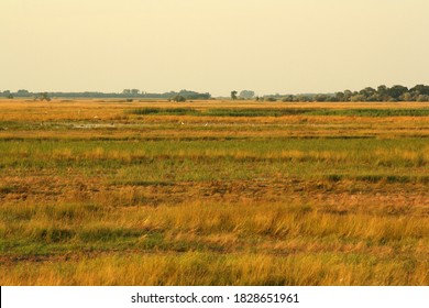 Pannonic Loess Steppe In Hortobágy, Hungary