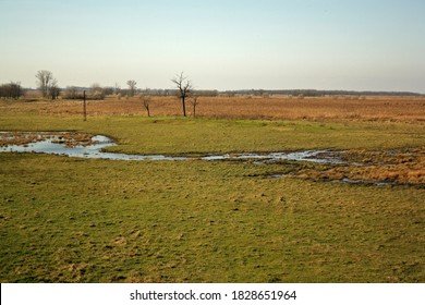 Pannonic Loess Steppe With Wetlands In Hortobágy, Hungary