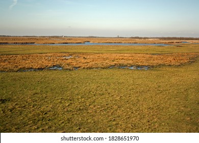 Pannonic Loess Steppe With Wetlands In Hortobágy, Hungary