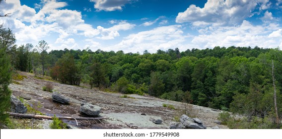 Panola Mountain Georgia USA, Panoramic View Of Granite Monadnock Exposed Stone Surface With Treeline And Blue Sky, Horizontal Aspect