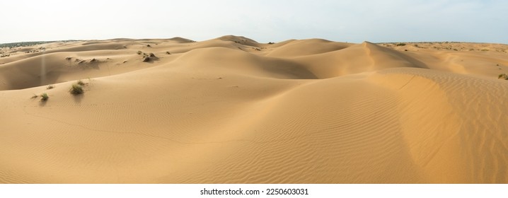 Panorama 180 of the desert in spring from a bird's eye view. Sand dunes in the Kyzylkum desert. Soft lighting in cloudy weather before rain - Powered by Shutterstock