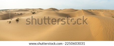 Panorama 180 of the desert in spring from a bird's eye view. Sand dunes in the Kyzylkum desert. Soft lighting in cloudy weather before rain