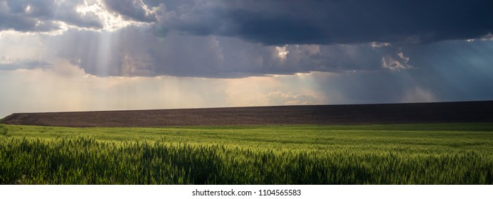 Panorama 2: God Rays Over The Palouse