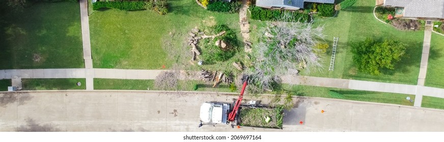 Panorama Aerial View Working Truck With A Lift Cutting Down Tree At Suburban House Near Dallas, Texas, America. Tree Pruning Landscaping Service At Residential Neighborhood.