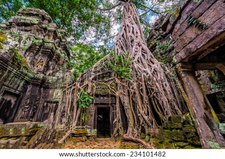 Panorama of ancient stone door and tree roots, Ta Prohm temple ruins, Angkor, Cambodia