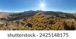 Panorama of Aspens in Silverthorn, Colorado during the Fall. 